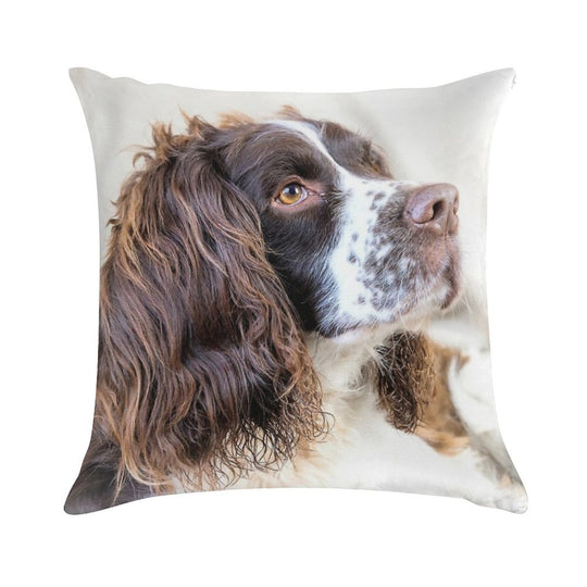 Harvey Soft Luxury Feel Throw Pillow