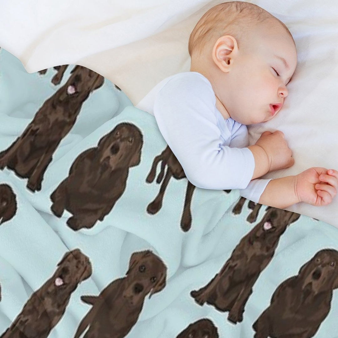 Chocolate Lab Gift-ready Throw Blanket