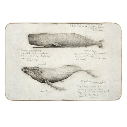 Whales  Fade-Resistant Bath Mat