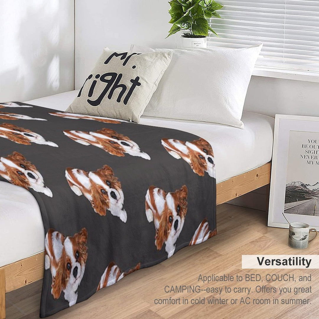 Cavalier King Charles Spaniel Looking Up Comfort Throw Blanket