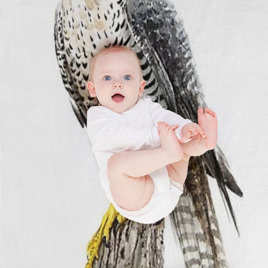 Peregrine Falcon #2 Sustainable Throw Blanket