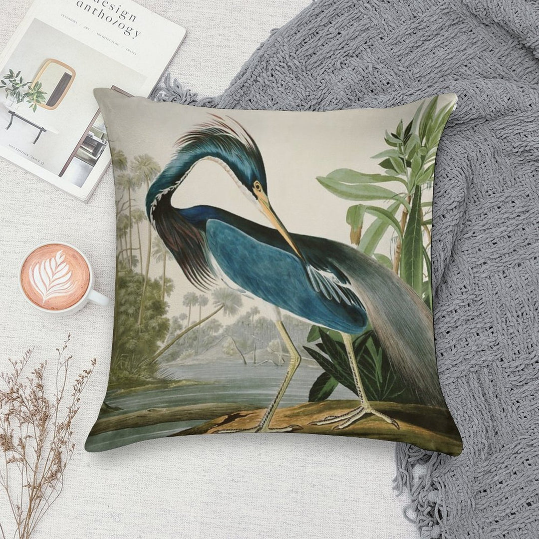 Louisiana Heron by John James Audubon Soft Ultra-Soft Texture Throw Pillow
