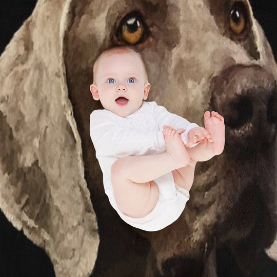 Weimaraner Portrait Gift-ready Throw Blanket
