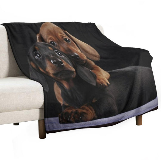 Dachshund Dog Portrait Photo Pupies Durable Throw Blanket