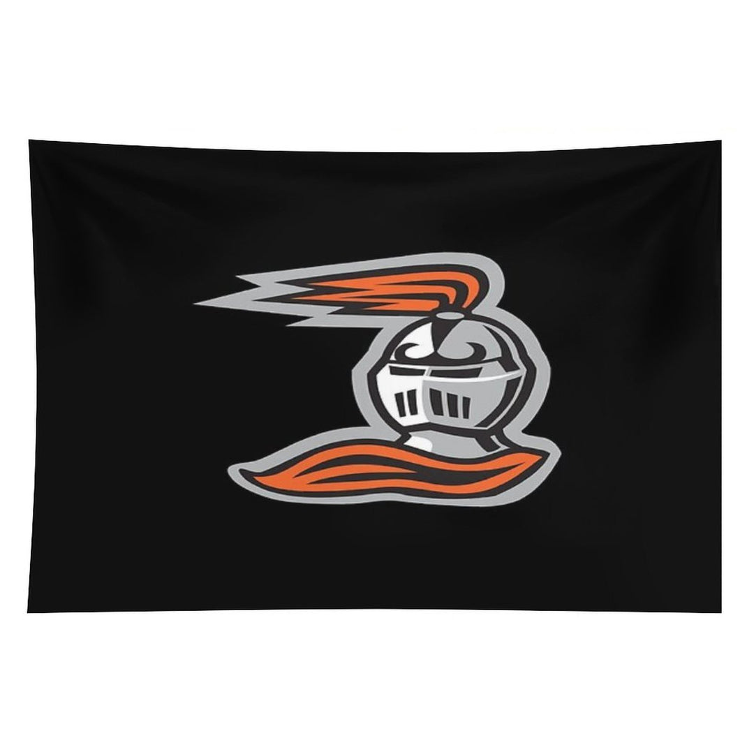 Heidelberg Princes Tapestry