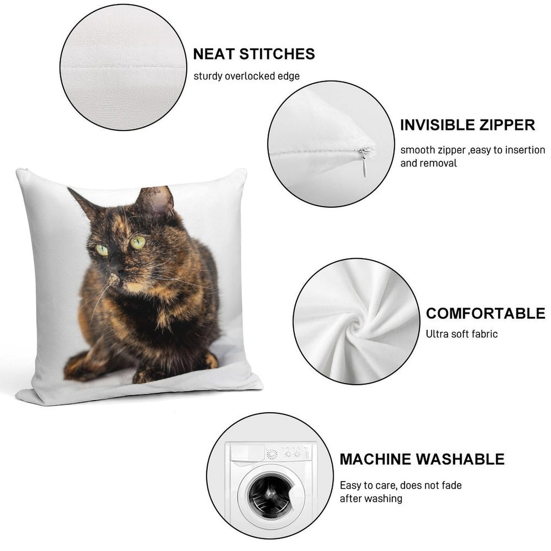 Tortoiseshell Cat Soft Decorative Cover Throw Pillow