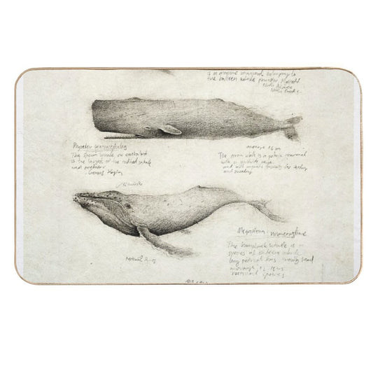 Whales  Fade-Resistant Bath Mat