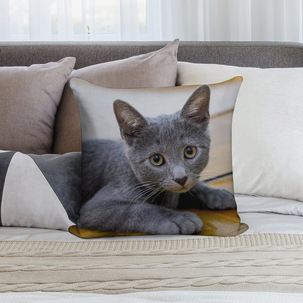 Russian Blue Cat - Cute Kitten Photo Soft Shrink-Resistant Throw Pillow