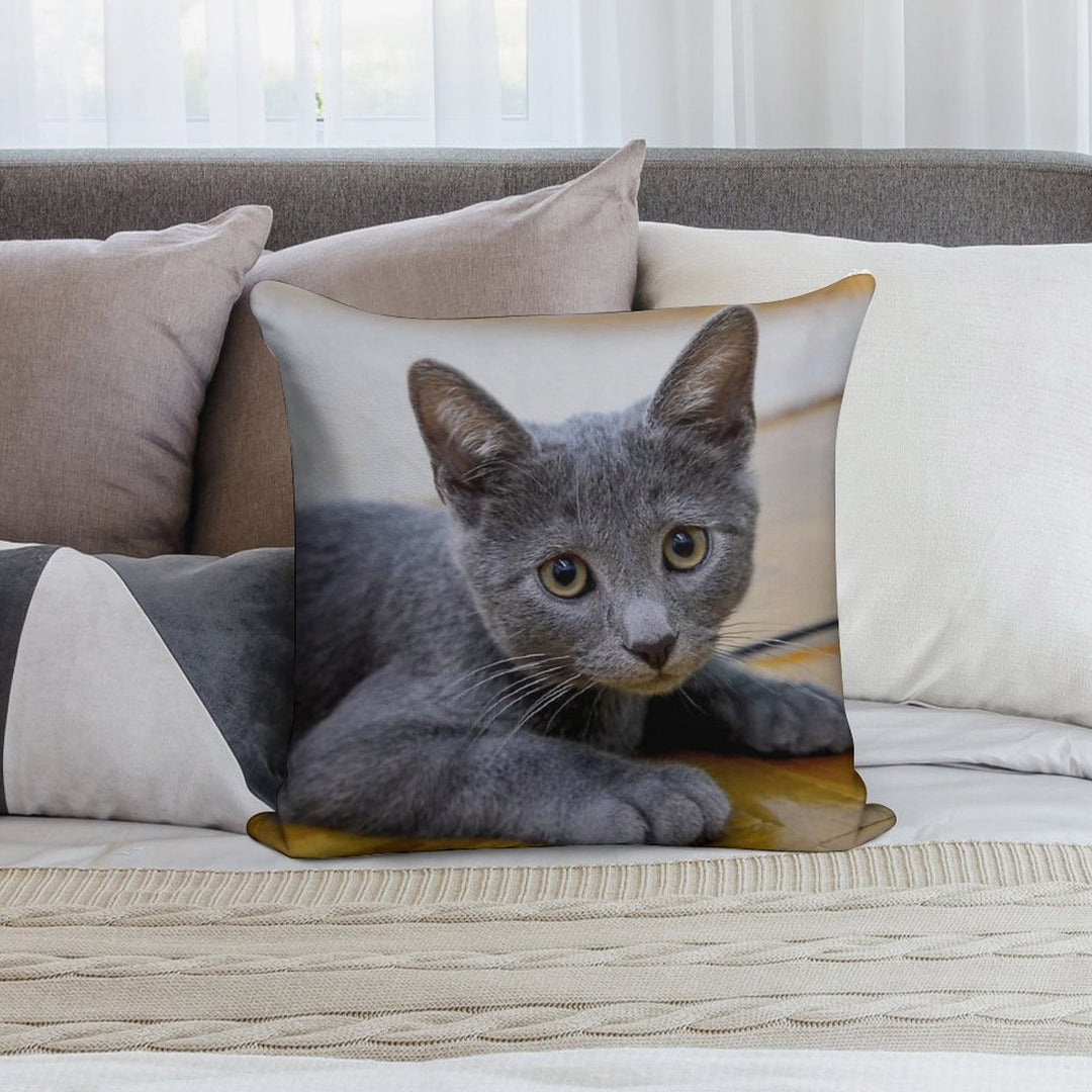 Russian Blue Cat - Cute Kitten Photo Soft Shrink-Resistant Throw Pillow