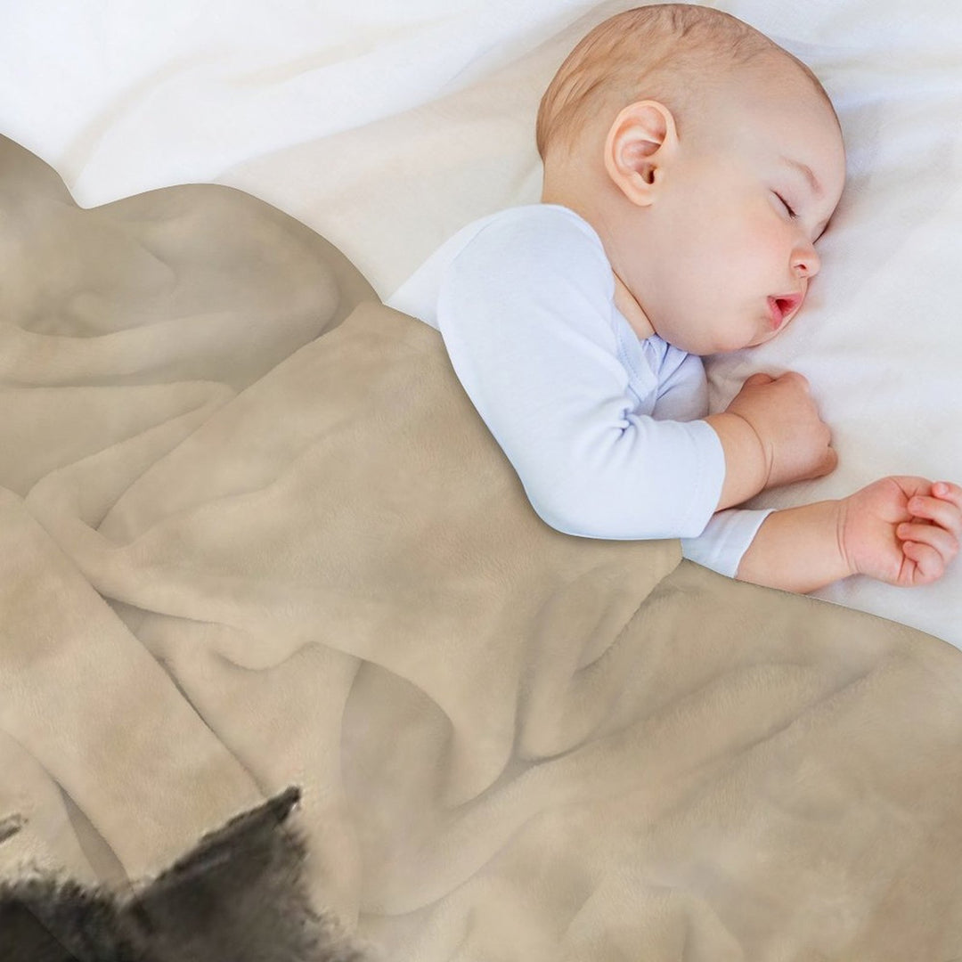 American Buffalo  -  Plains Bison Sustainable Throw Blanket