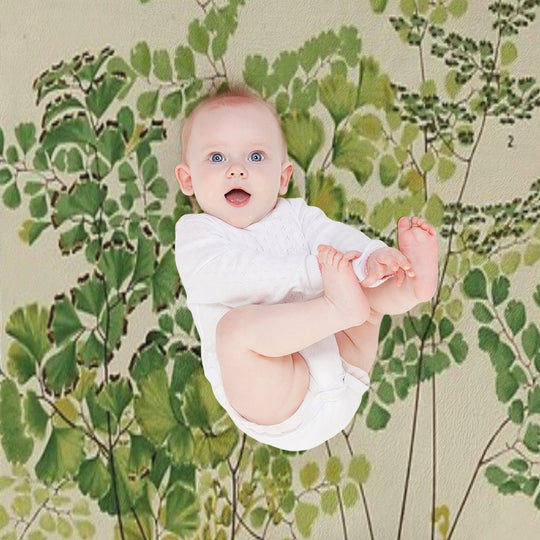 Maidenhair Ferns All-season Throw Blanket