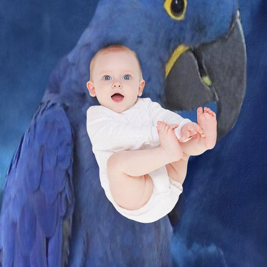 Hyacinth Macaw Quick-dry Throw Blanket