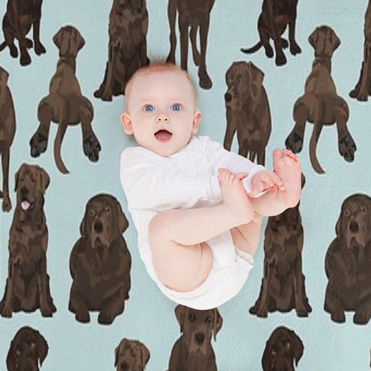 Chocolate Lab Gift-ready Throw Blanket