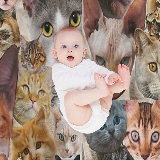 Cat Collage Eco-conscious Throw Blanket
