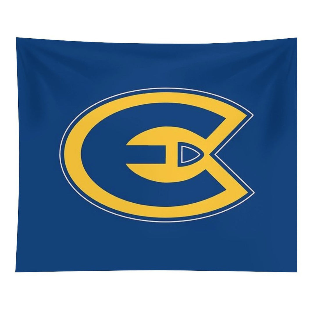 University of Wisconsin–Eau Claire Tapestry
