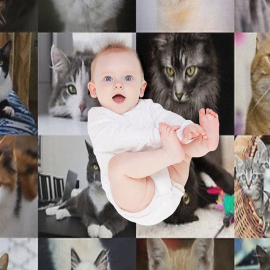 Cats Versatility Throw Blanket