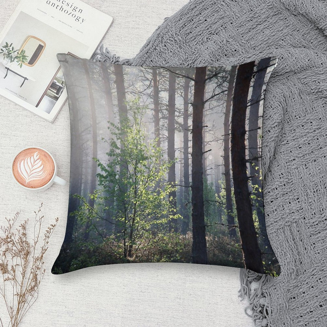 10.6.2017 Young Birch Soft Easy Maintenance Throw Pillow