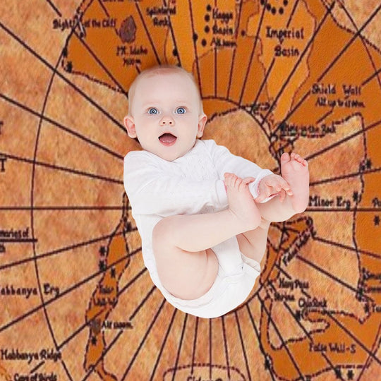 DUNE Map Machine-washable Throw Blanket