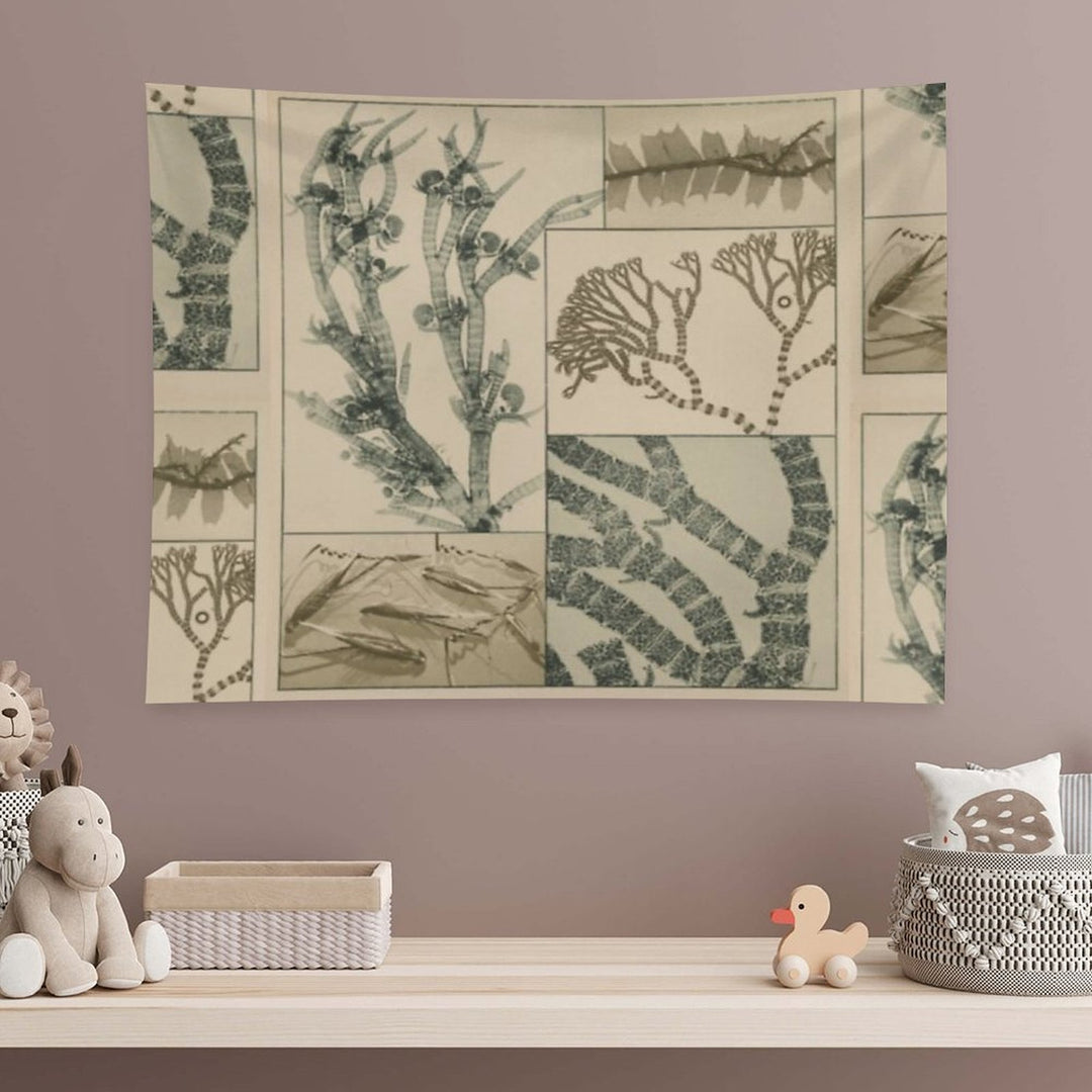 Patterns In Nature Tapestry