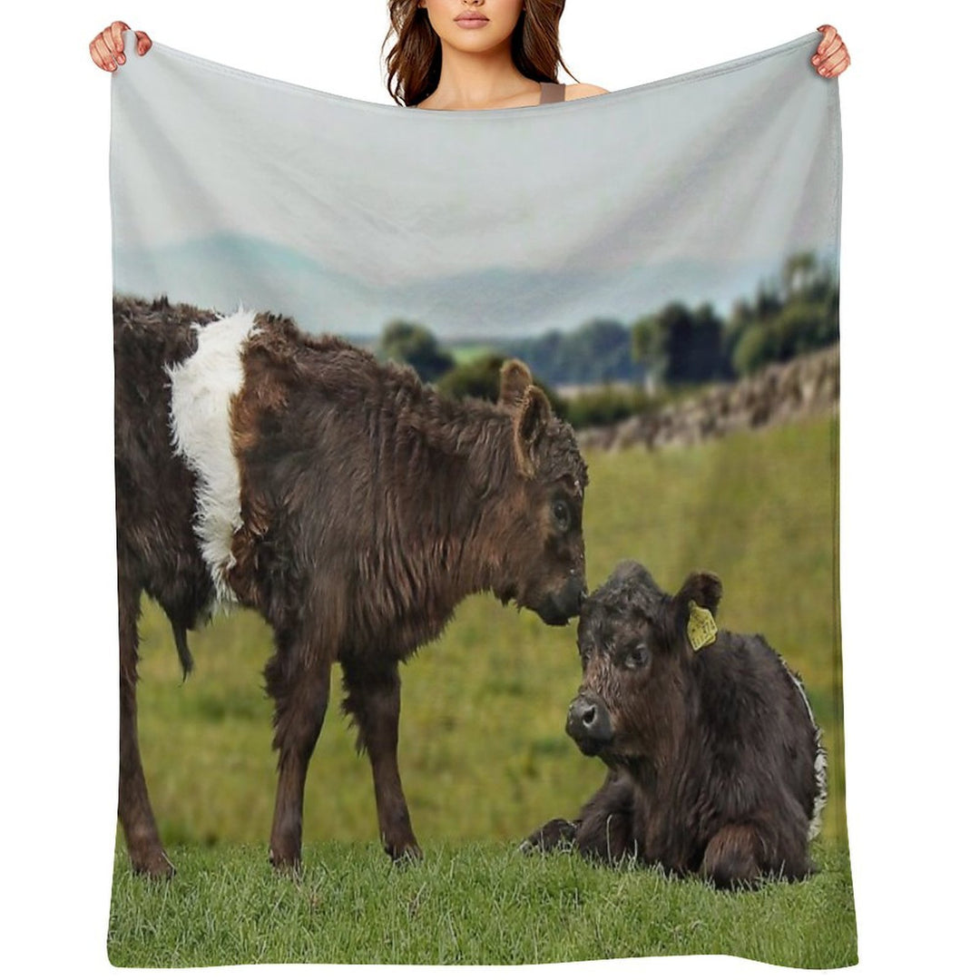 Belted Galloway Lightweight Throw Blanket