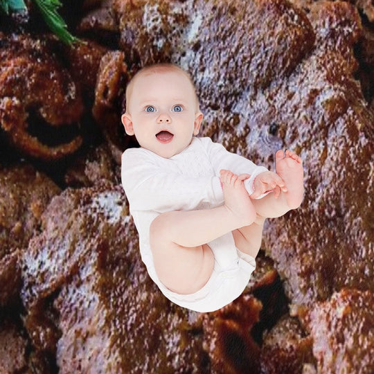 Turkish Doner Kebab Shrink-resistant Throw Blanket