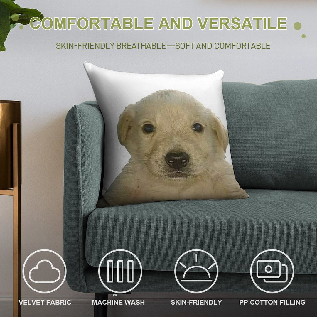 Jotchua Meme Jotchua Dog Soft Hidden Zipper Throw Pillow