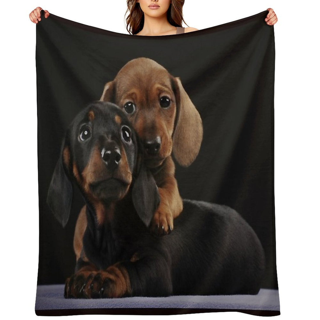 Dachshund Dog Portrait Photo Pupies Durable Throw Blanket