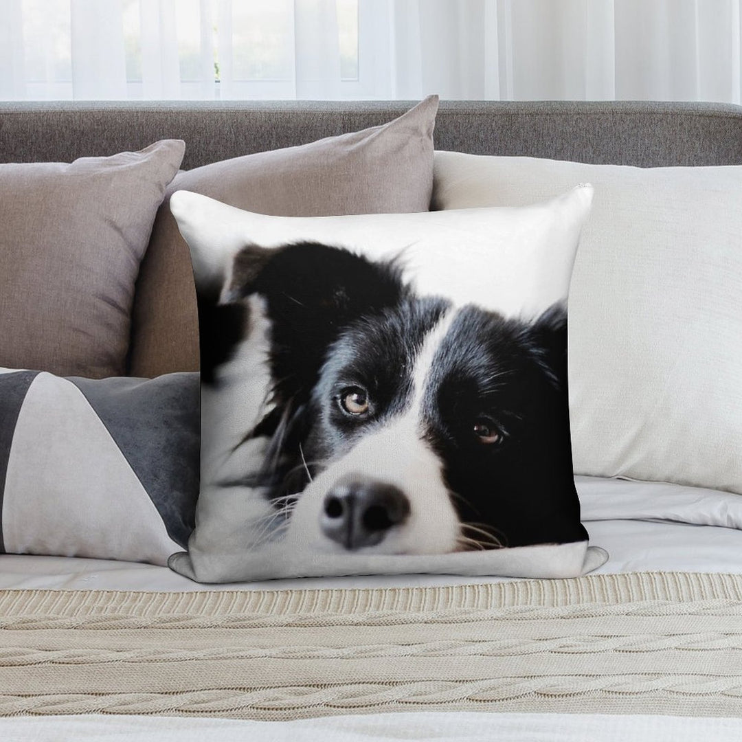 Border Collie Soft Short Plush Fabric Throw Pillow
