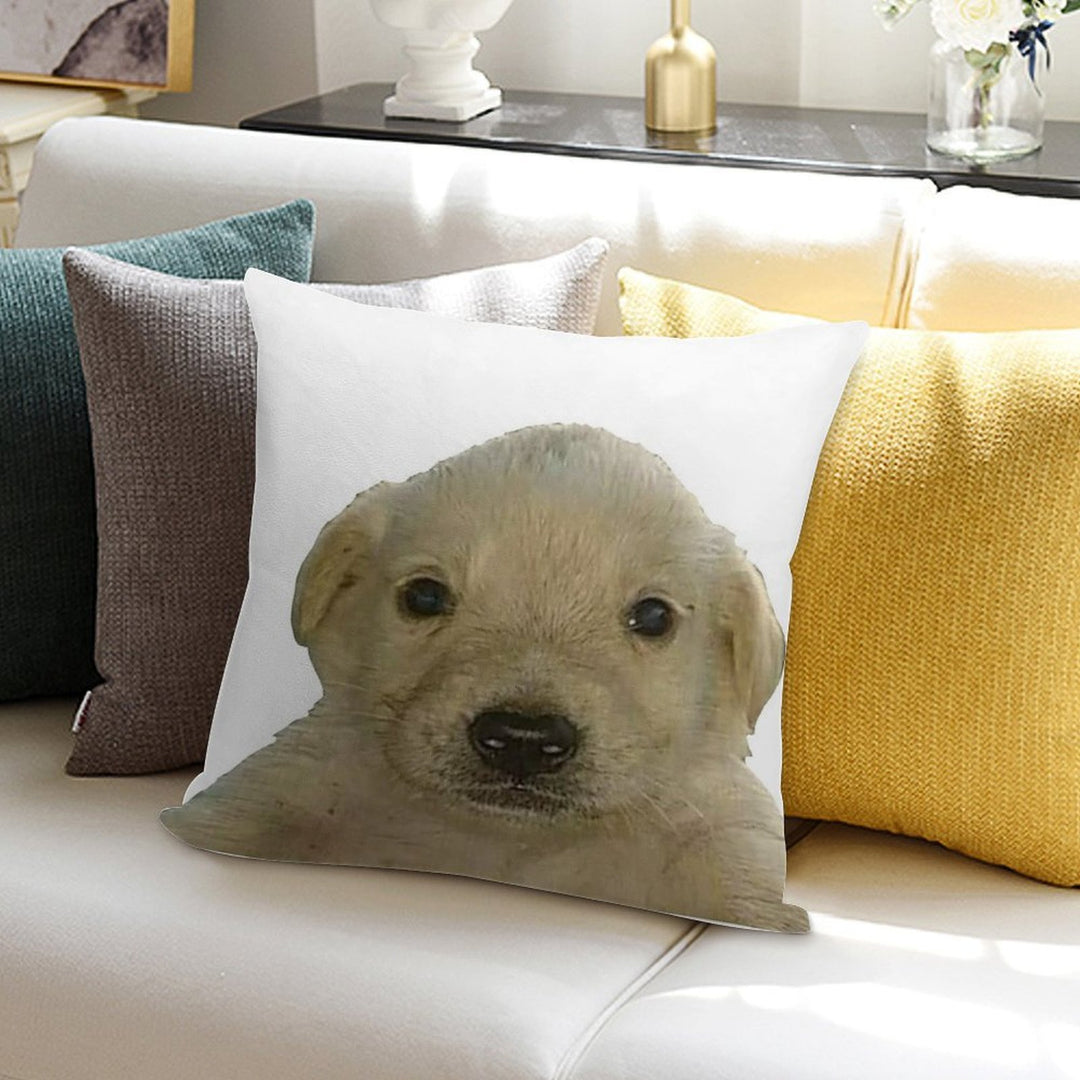 Jotchua Meme Jotchua Dog Soft Hidden Zipper Throw Pillow
