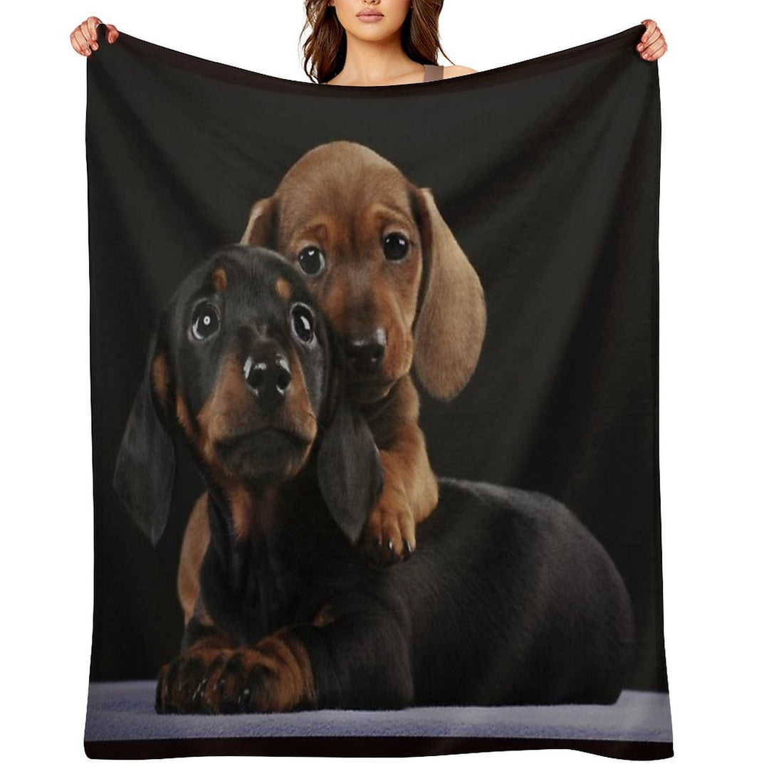 Dachshund Dog Portrait Photo Pupies Durable Throw Blanket