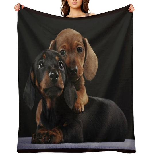 Dachshund Dog Portrait Photo Pupies Durable Throw Blanket