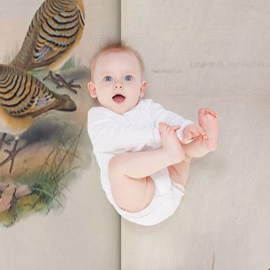 John Gould The Birds of Australia 1869 069 Lophophaps Leucogaster Compact Throw Blanket