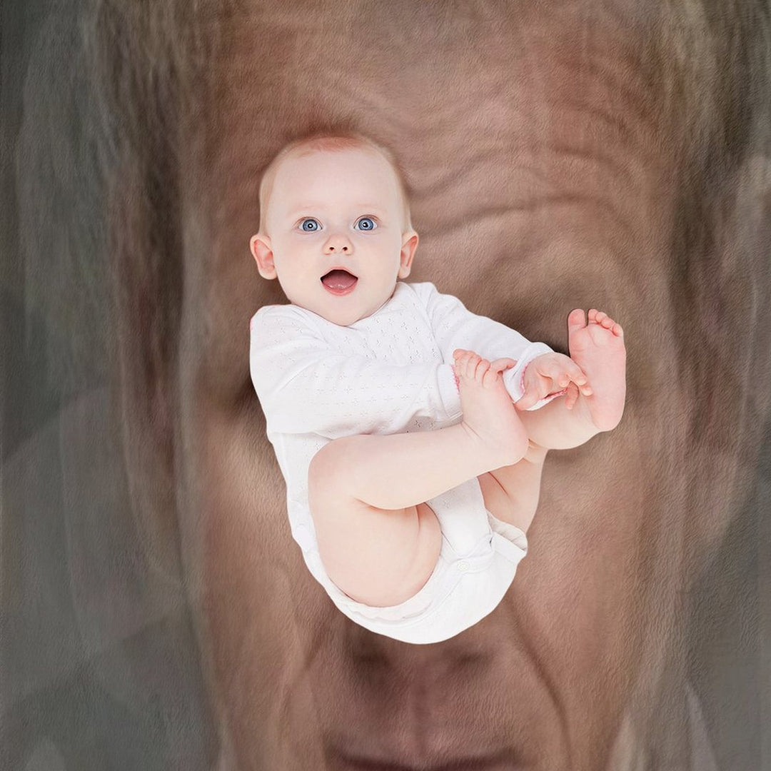 Gordon Ramsay Portrait Quick-dry Throw Blanket