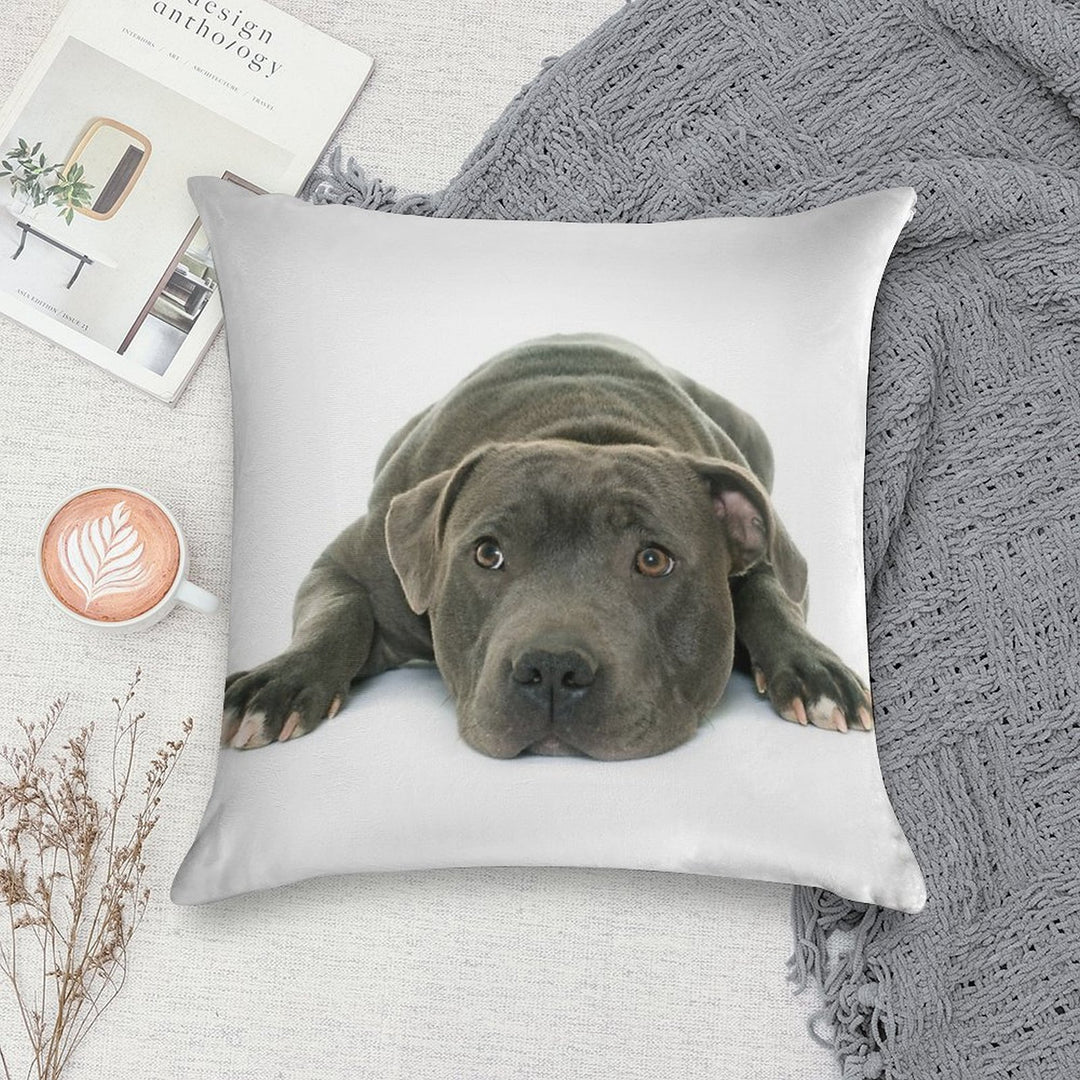 Blue Staffordshire Bull Terrier Super Cute Puppy Eyes Soft Luxury Feel Throw Pillow