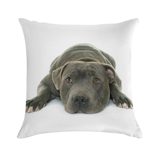 Blue Staffordshire Bull Terrier Super Cute Puppy Eyes Soft Luxury Feel Throw Pillow