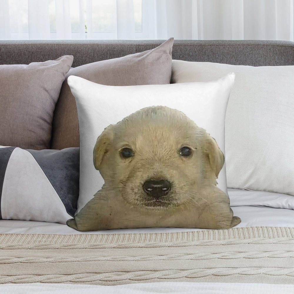 Jotchua Meme Jotchua Dog Soft Hidden Zipper Throw Pillow