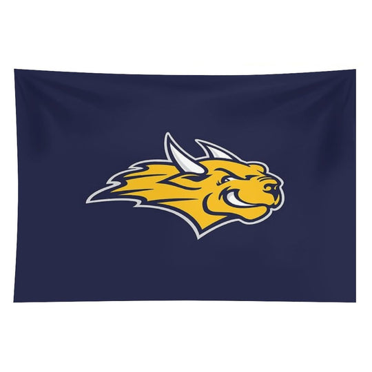 Webster University Tapestry