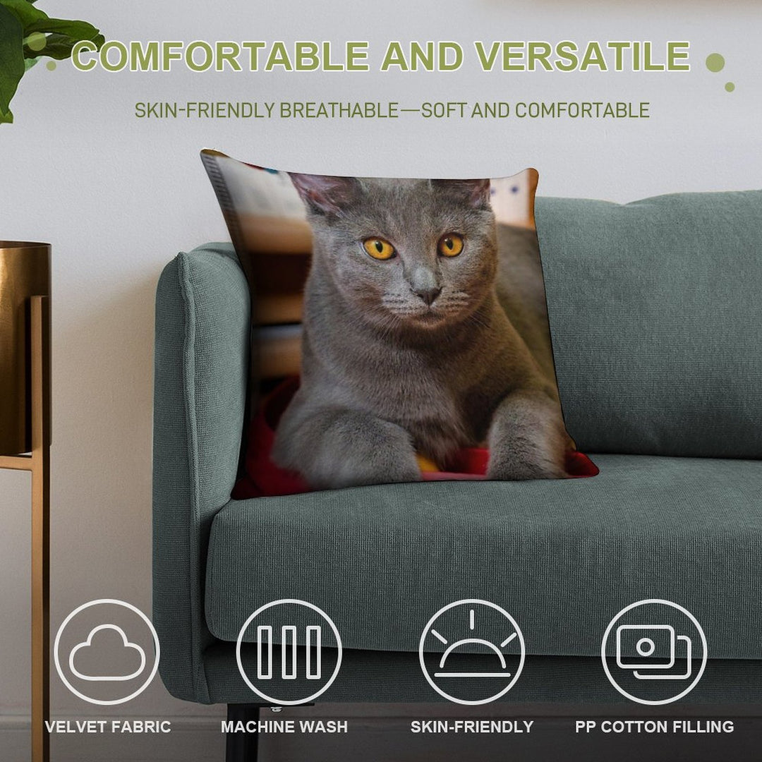 Chartreux Cat Portrait with Golden Eyes Soft Luxury Feel Throw Pillow