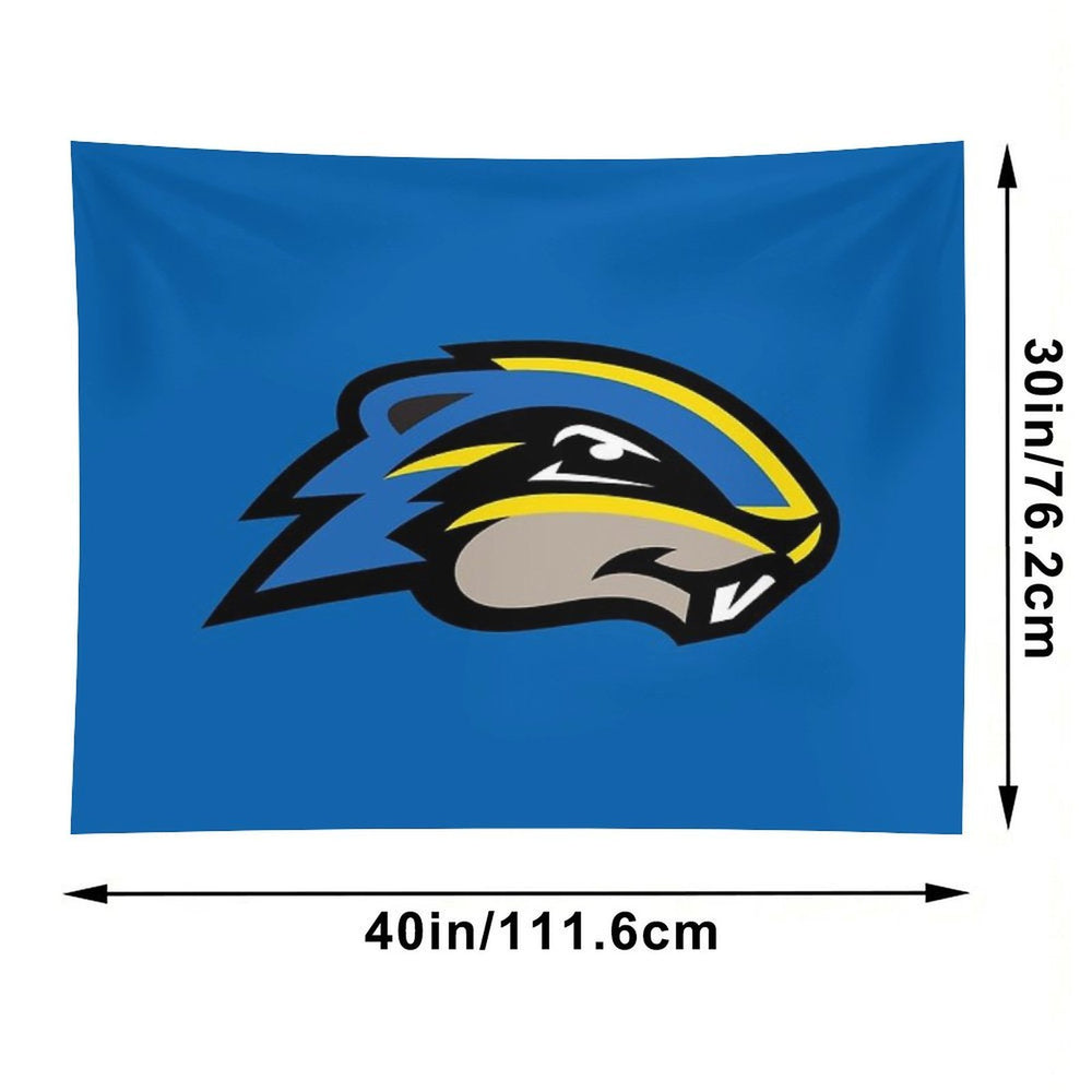 The Goucher Merch Tapestry