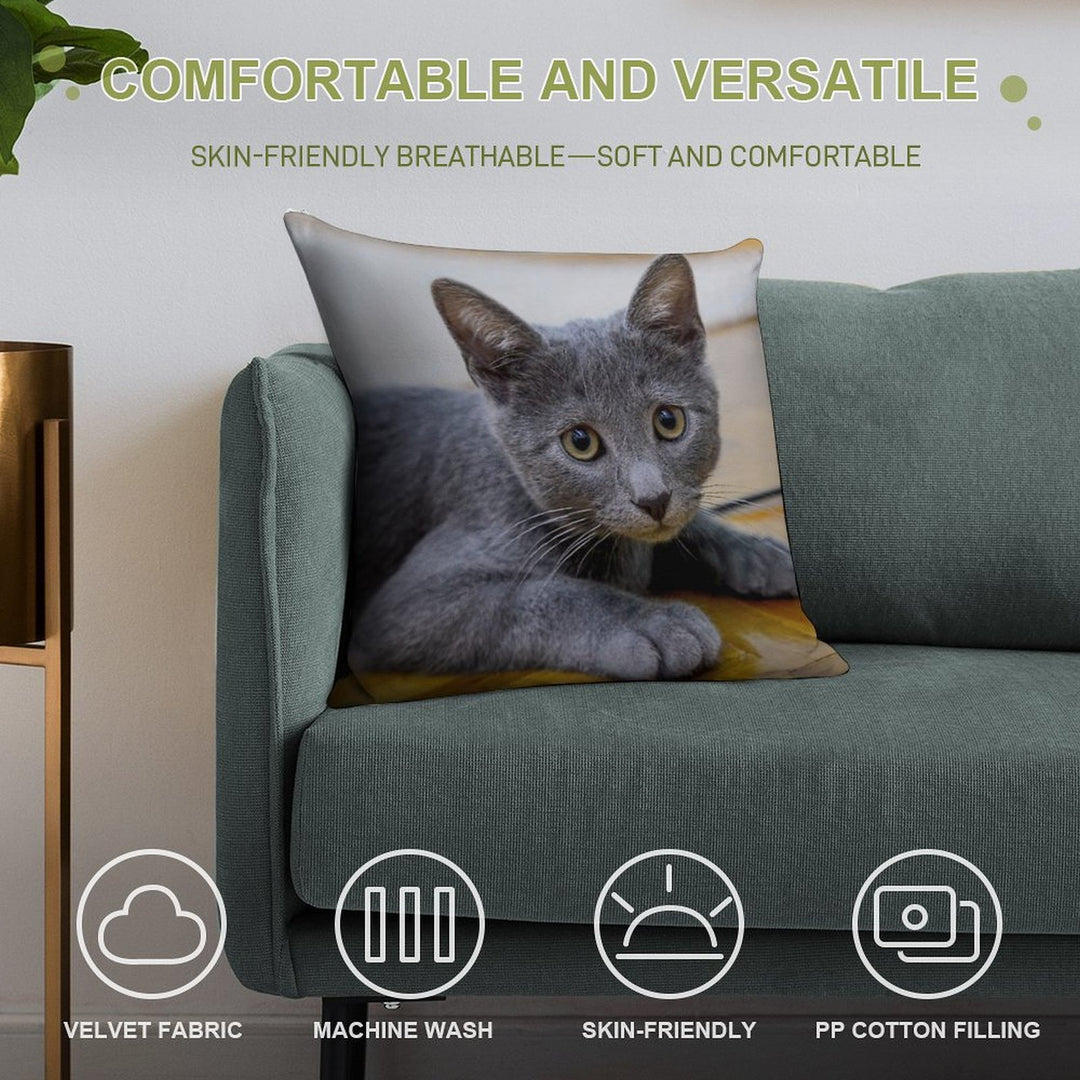 Russian Blue Cat - Cute Kitten Photo Soft Shrink-Resistant Throw Pillow