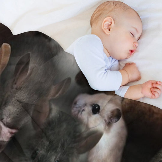Mice Plush Throw Blanket