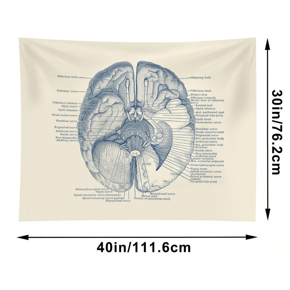 Brain Nervous System Diagram Tapestry