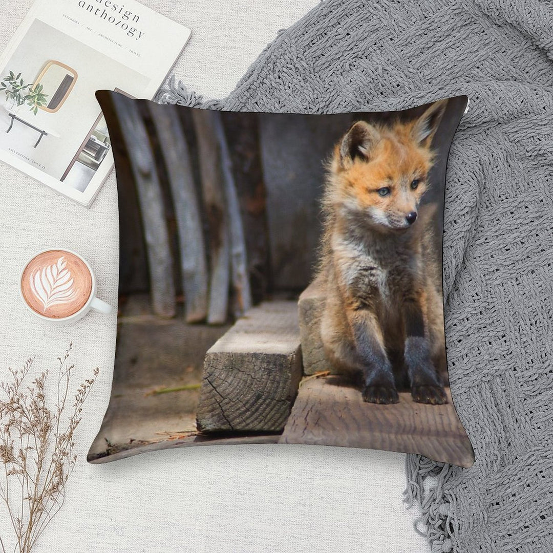 Little Buddy Soft Skin-Friendly Throw Pillow