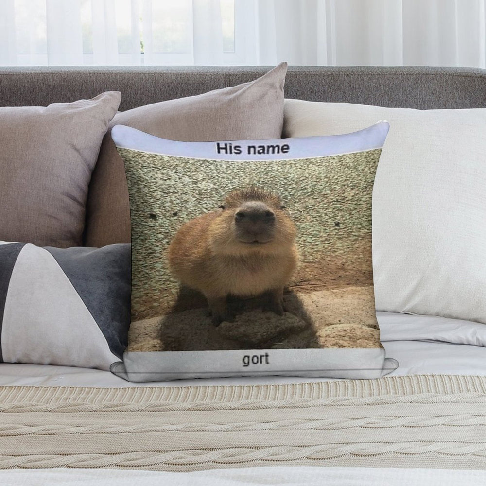 Gort Soft Hidden Zipper Throw Pillow
