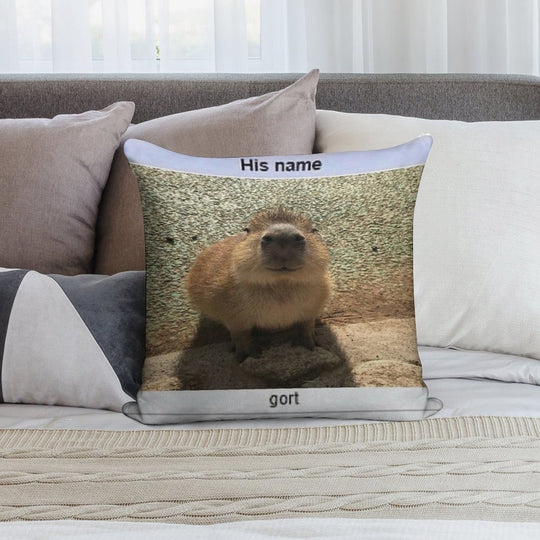 Gort Soft Hidden Zipper Throw Pillow
