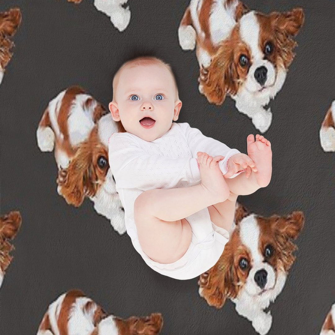 Cavalier King Charles Spaniel Looking Up Comfort Throw Blanket