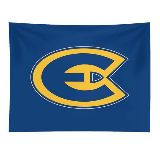 University of Wisconsin–Eau Claire Tapestry