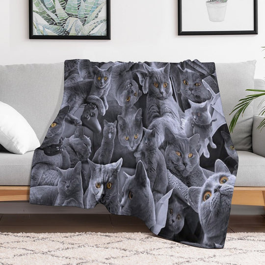 British Shorthair Cat Collage Anti-pilling Throw Blanket