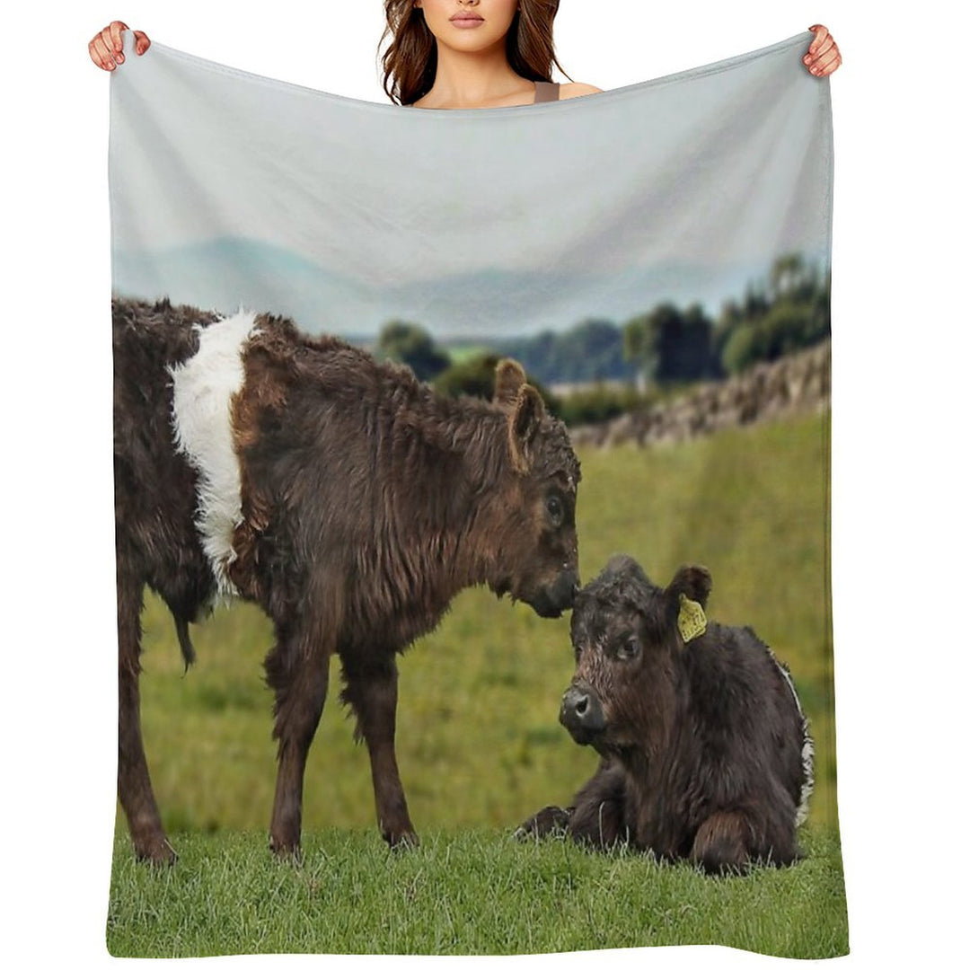 Belted Galloway Lightweight Throw Blanket