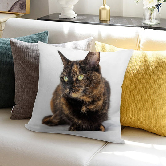 Tortoiseshell Cat Soft Decorative Cover Throw Pillow